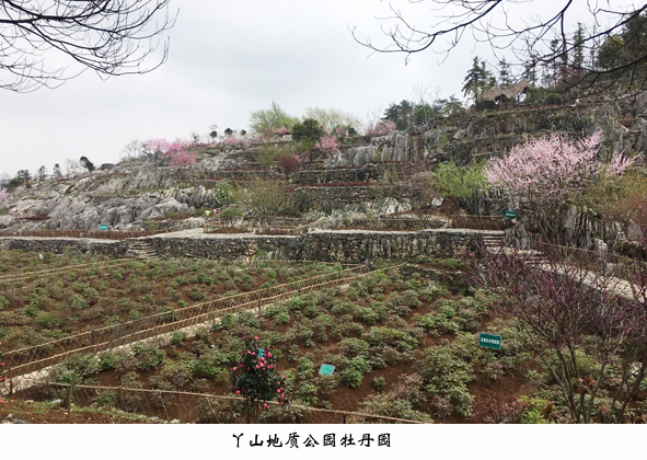 williamhill������ϣ��(����)Ψһ���Ĺٷ���վ-Official website