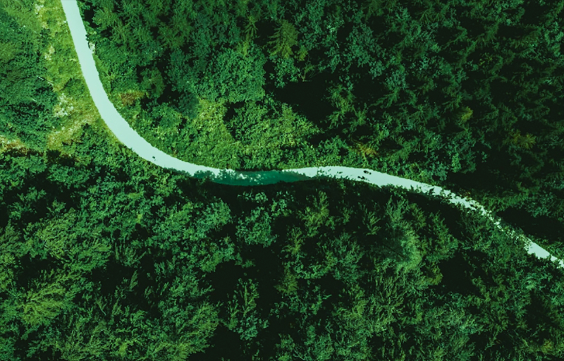 �������������������������ƶ���ɫ����